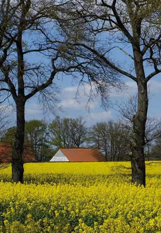 Fred Schomburg im Joducus